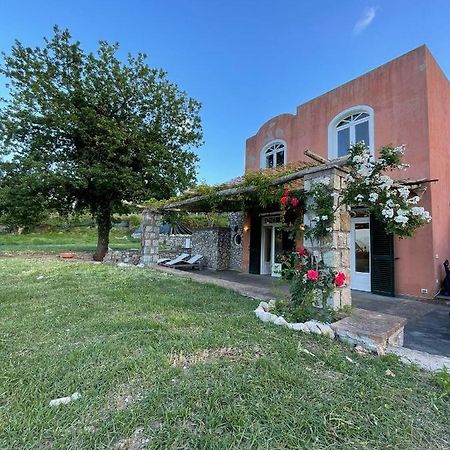 Villa Alba Κάπρι Εξωτερικό φωτογραφία